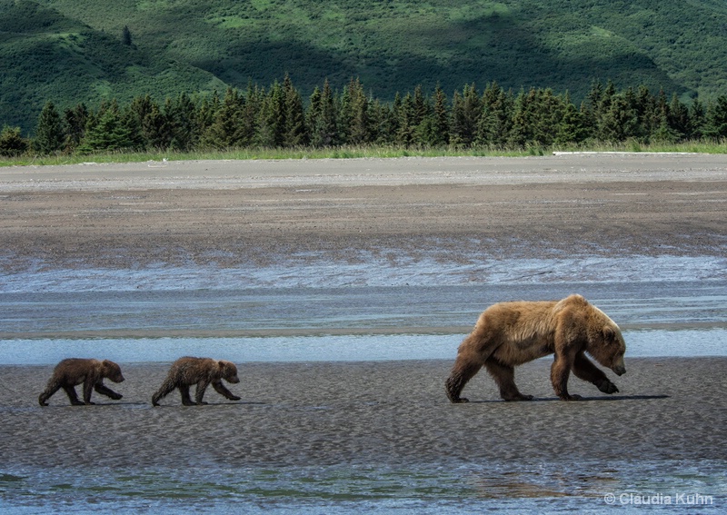 Following Mom