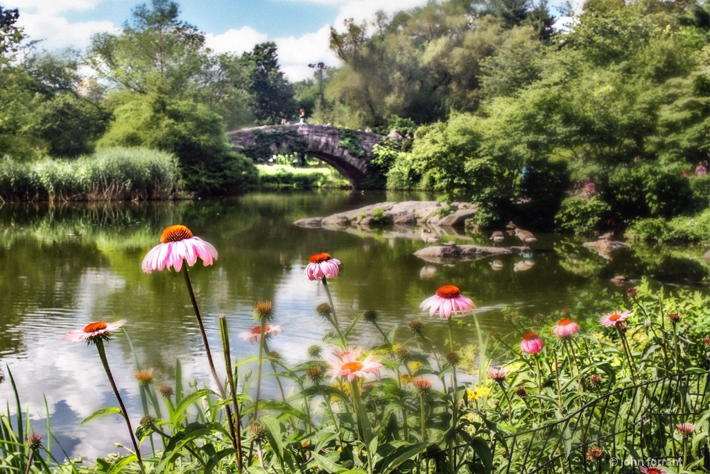 ny-pond-and-flowers