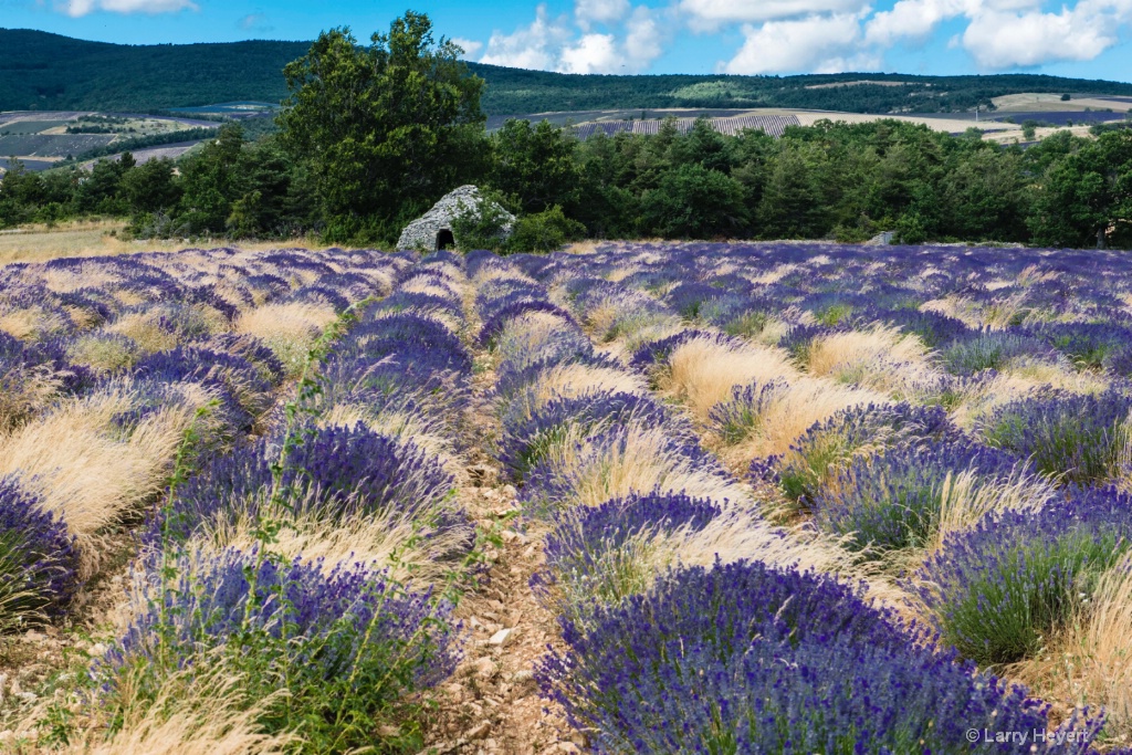 Provence, France - ID: 15186673 © Larry Heyert