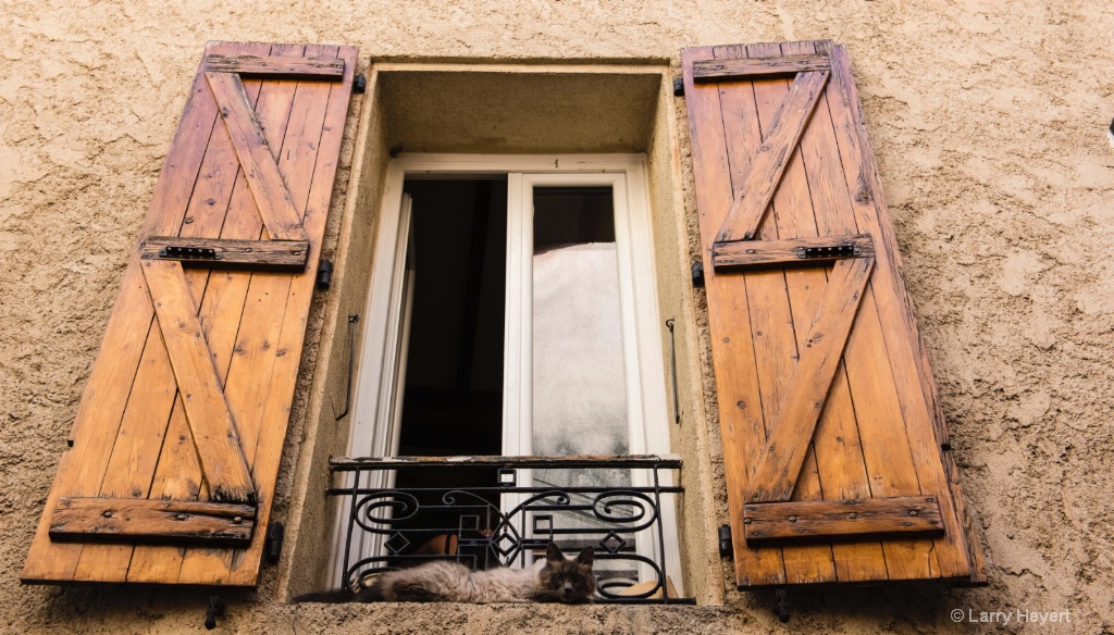 Cat in a Window in Provence, France - ID: 15186687 © Larry Heyert