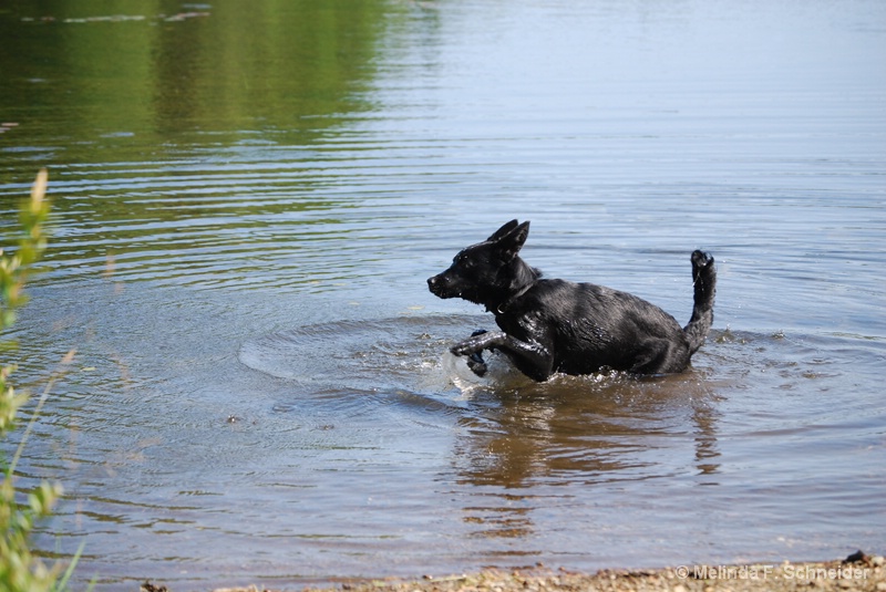 Running in Water