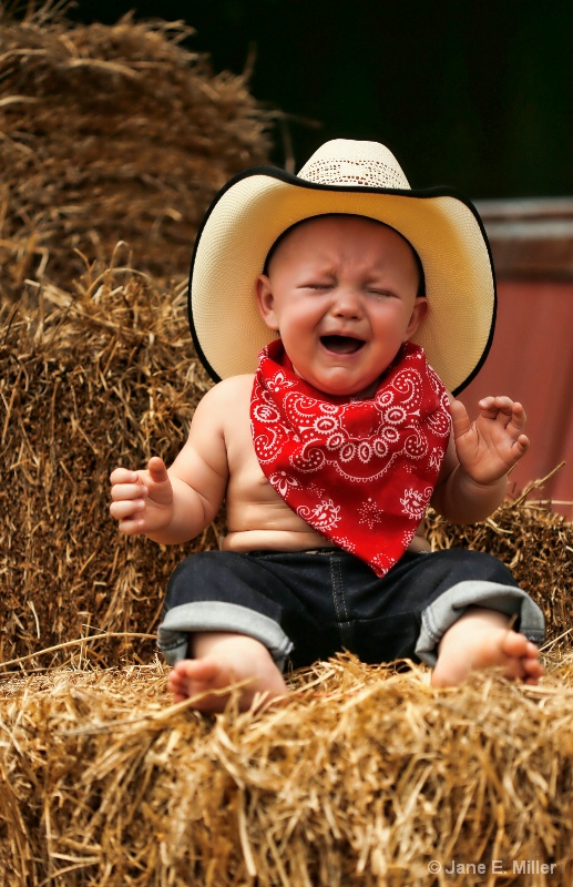 Little Crying Cowboy