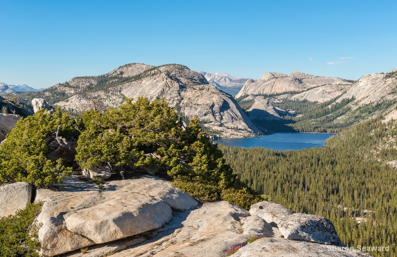 Tanaya Lake from Olmsted Point