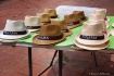 Panama hats