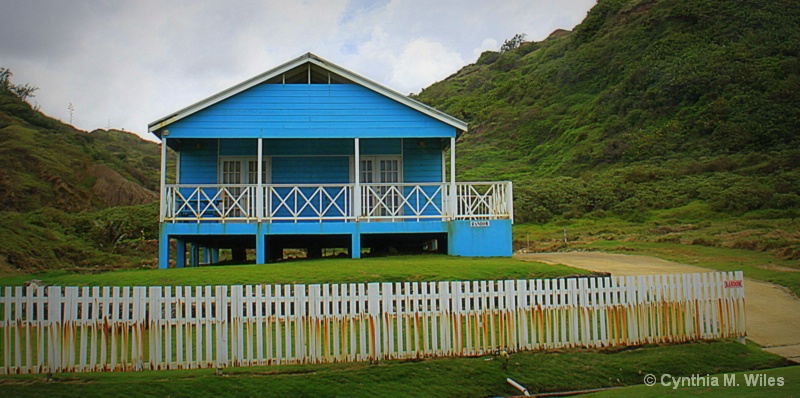 Little Blue House in Barbados - ID: 15188314 © Cynthia M. Wiles