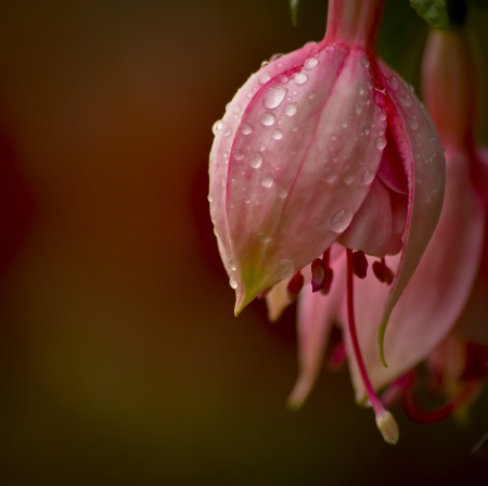 After a shower