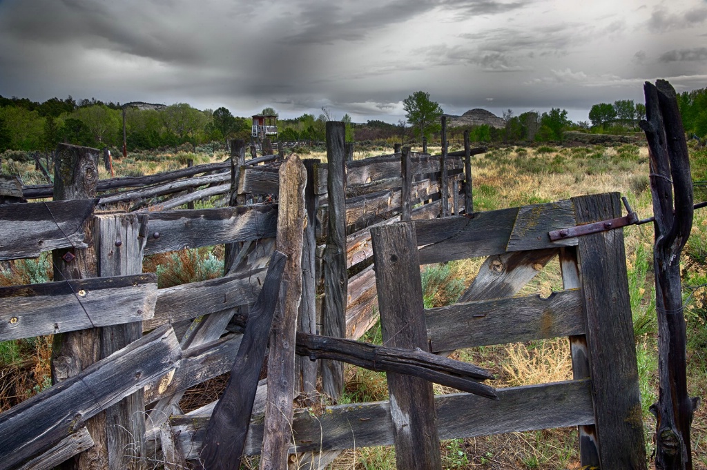 Rodeo Loading Gate