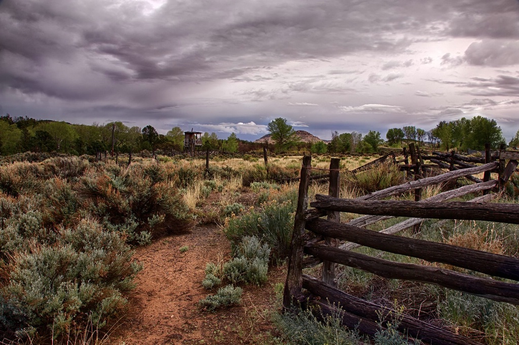 Abandoned Rodeo Grounds