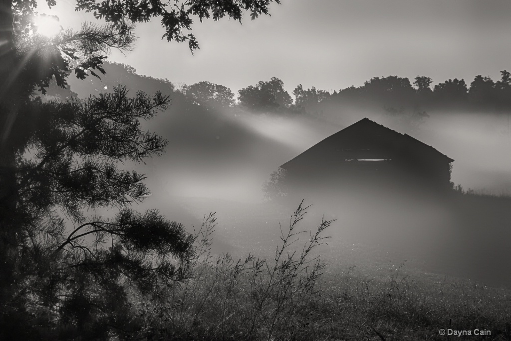 Shadows thru The Fog