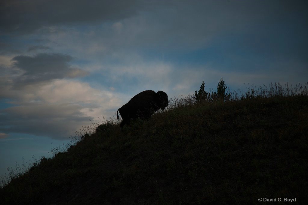 Lonely Climb - ID: 15189583 © David G. Boyd