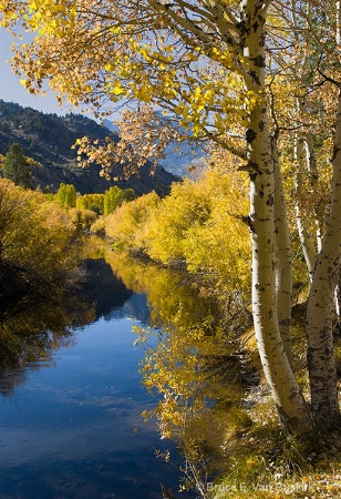 Old picture taken near mono lake in 2008