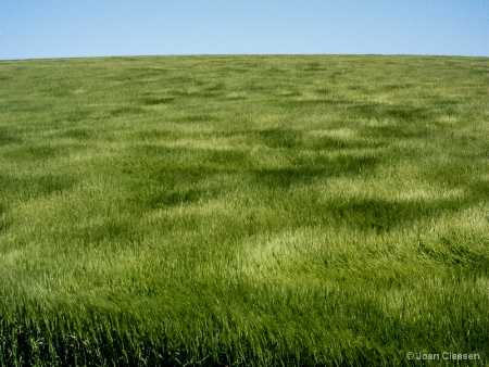 Waves of Grain