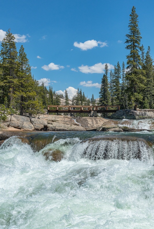 Bridge Across the PCT