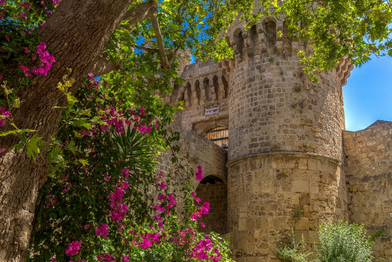 Castle Flowers in Rhodes Greece