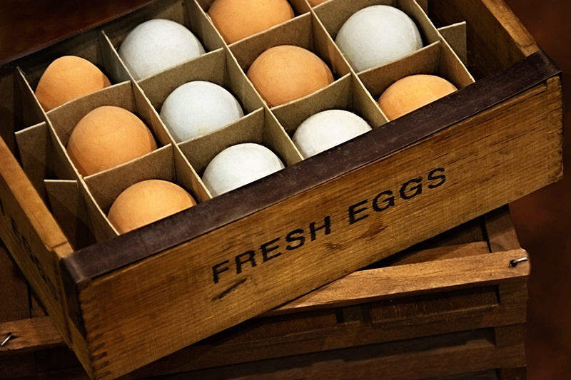 Fresh Eggs