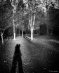 Me and My Shadow