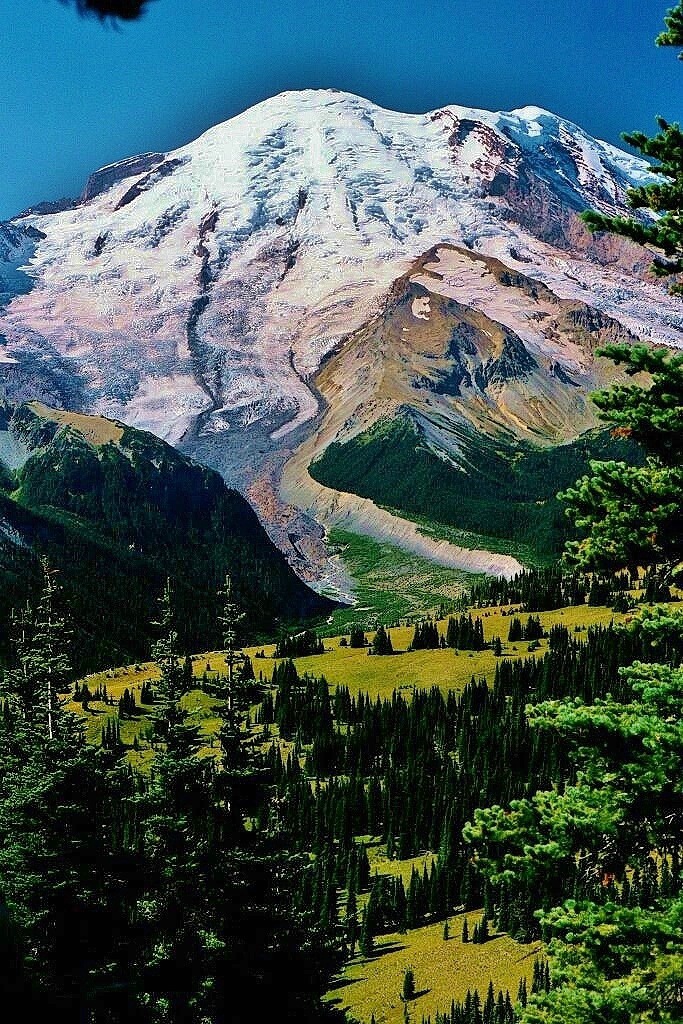 Mt. Rainier and Emmons Glacier