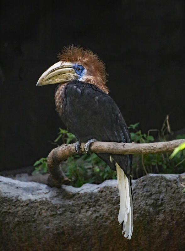 Bad hair day!