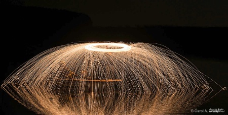 Hamp in Steel Wool 