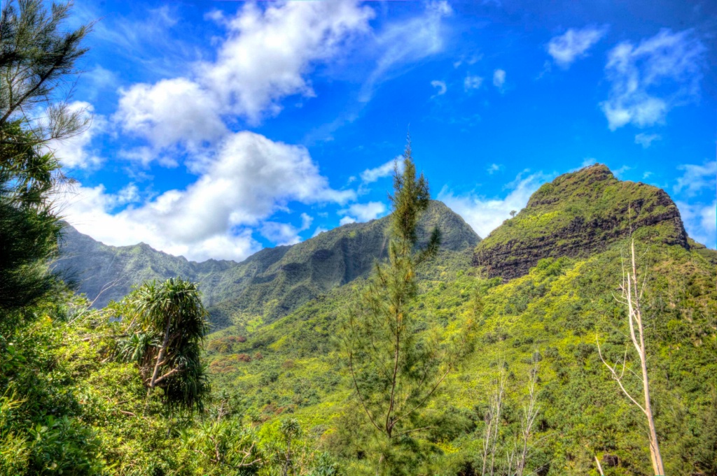 Scenery along the Kalalau Trail, Kauai