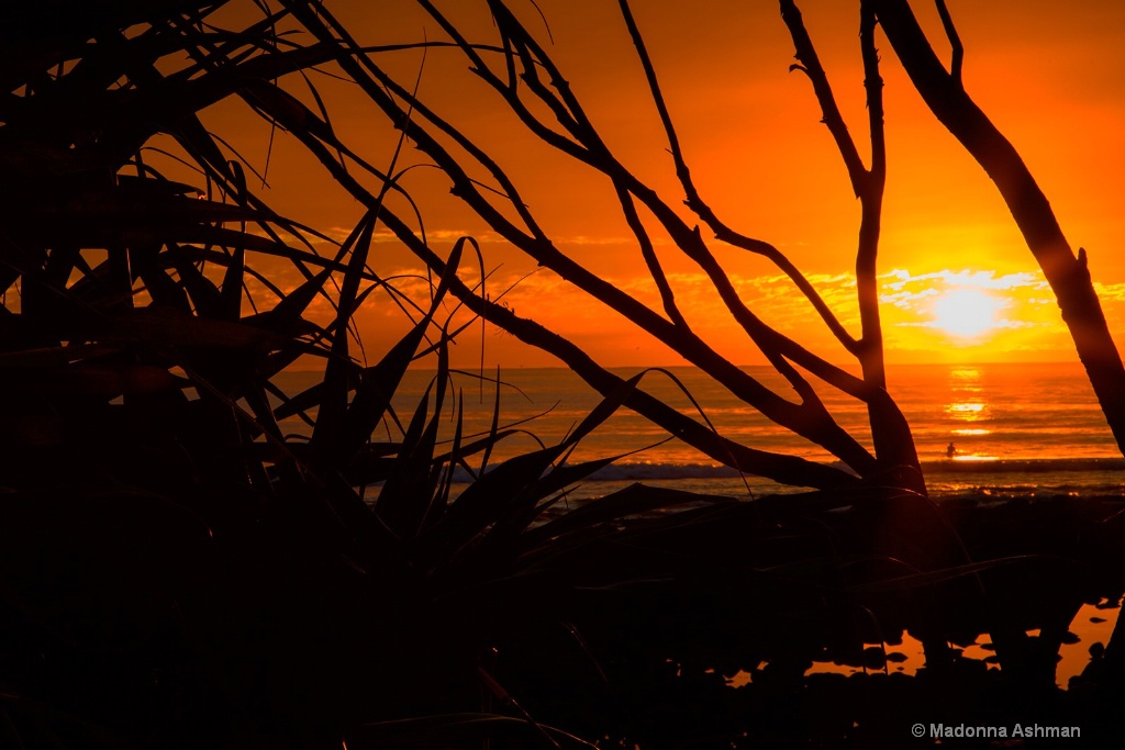 Sunrise-Silhouette