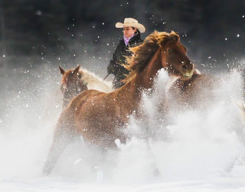 Snowy Roundup