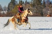Redheaded Cowgirl