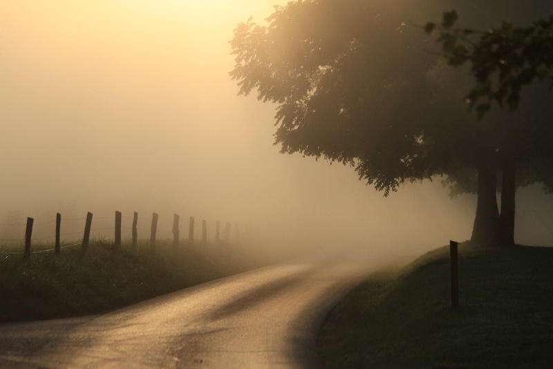 misty sun rise