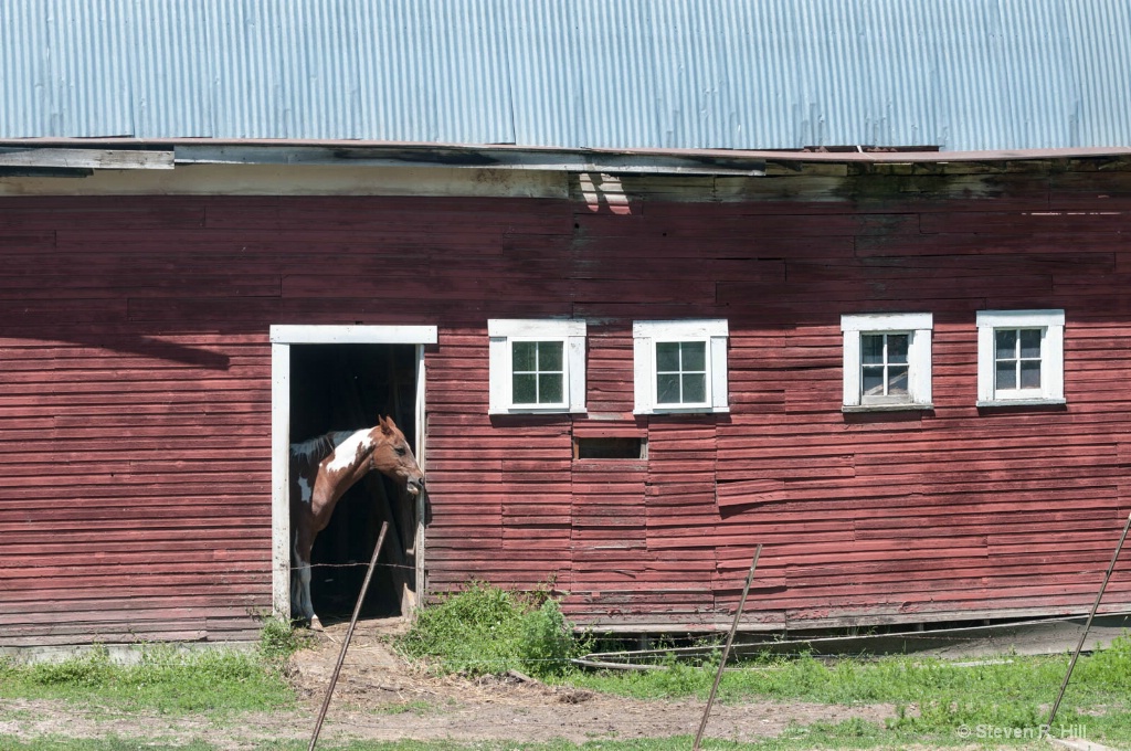 Before -- Red Barn Horse