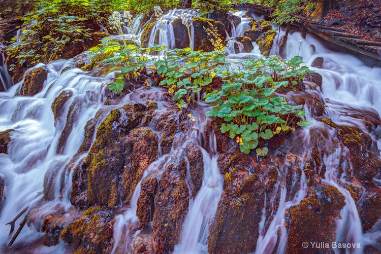 Plitvice Falls, Croatia - ID: 15199280 © Yulia Basova