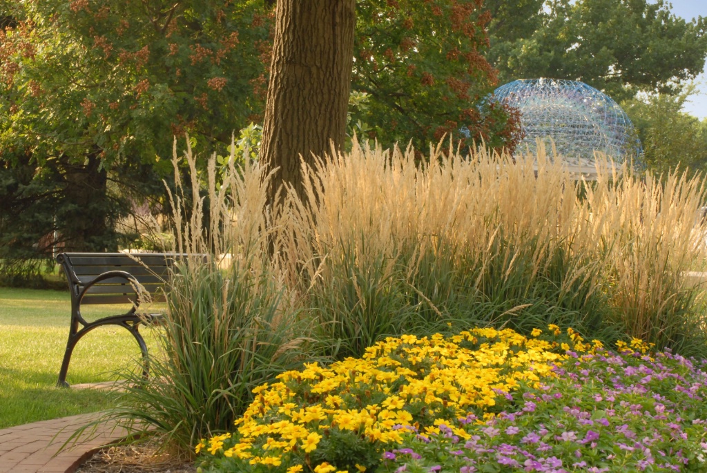 Summer in the park - ID: 15200129 © Kathleen McCauley