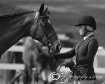 At the Horse Show