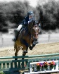 Horse Jumping