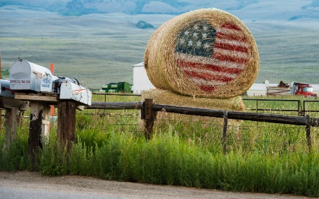 A Rancher Loves America
