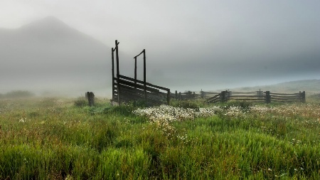 Corral in the Fog