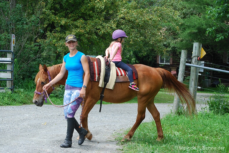 How NOT to Ride a Horse