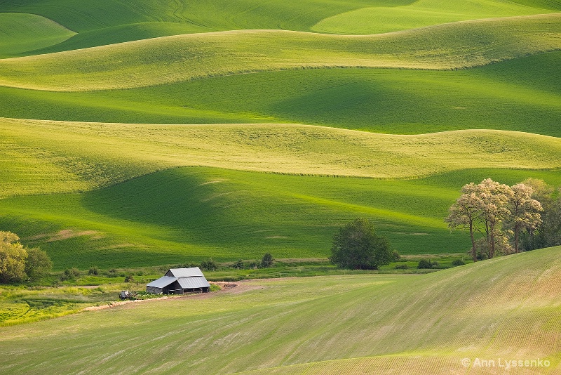 Lone Barn