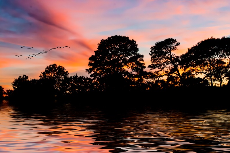 Sunset Silhouette