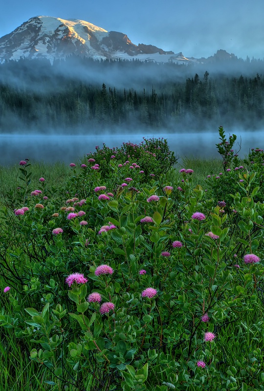 Mt Rainier