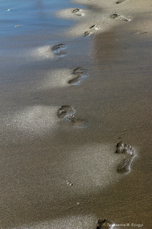 Footprints 