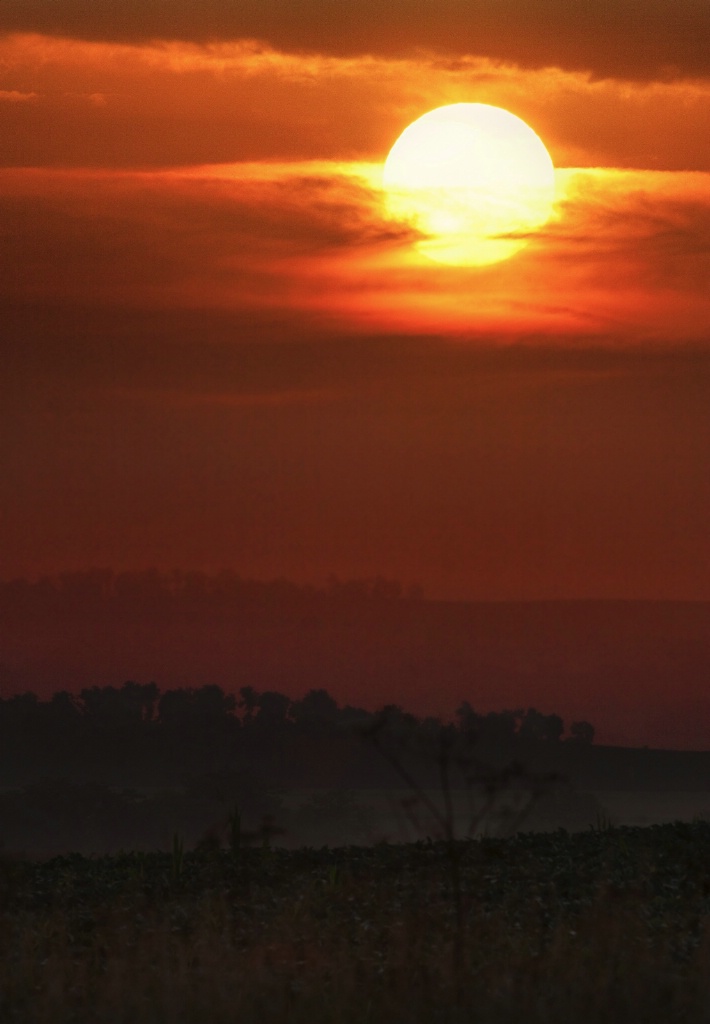 Iowa Morning