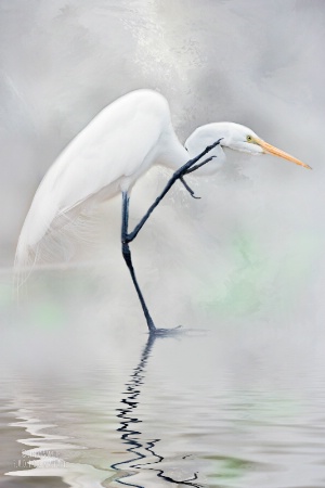 beauty in the mist