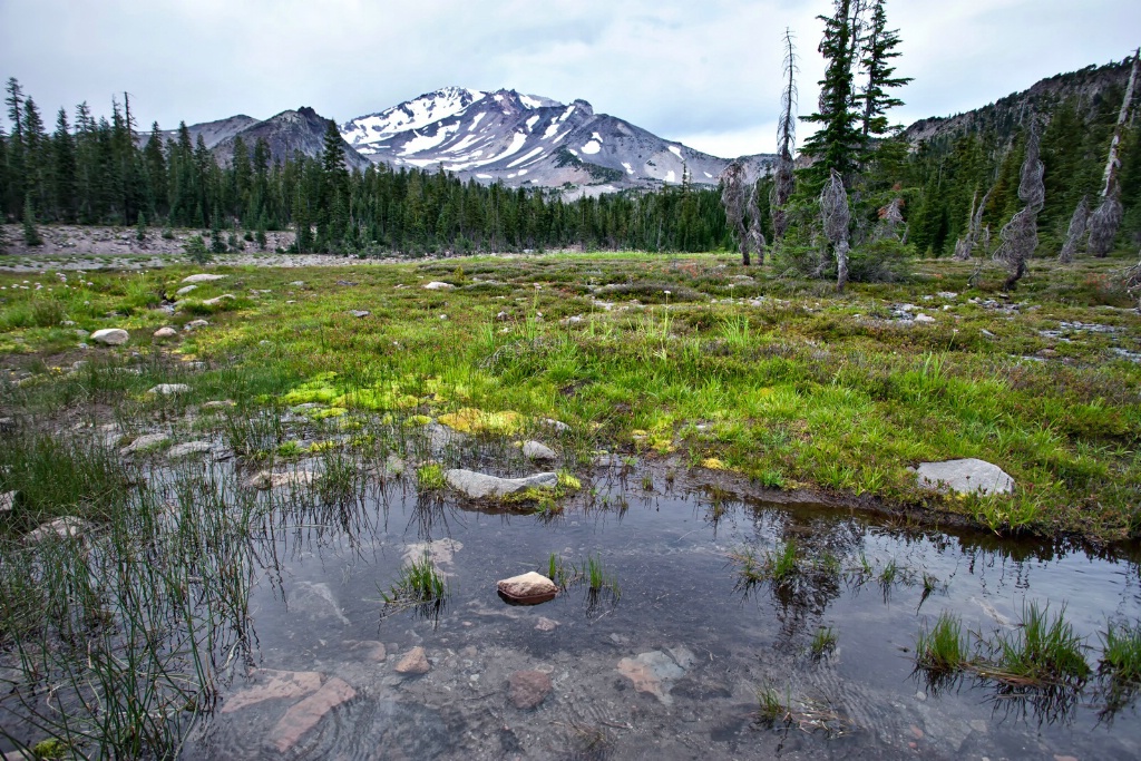 Lower Panther Meadow
