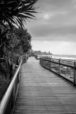 Sunshine Coast Boardwalk 
