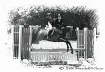 Horse Jumps