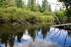Mirror Reflection