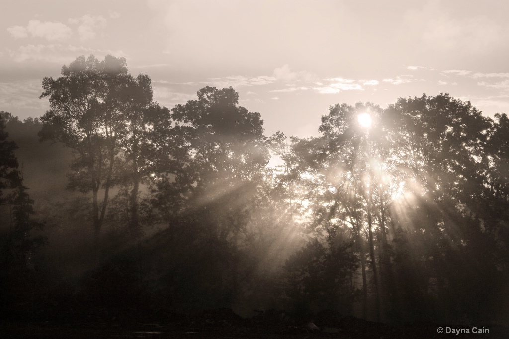 Kentucky Sunrise