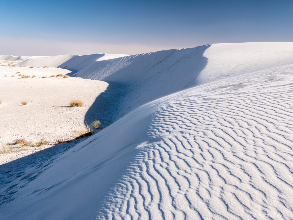 White Sands View