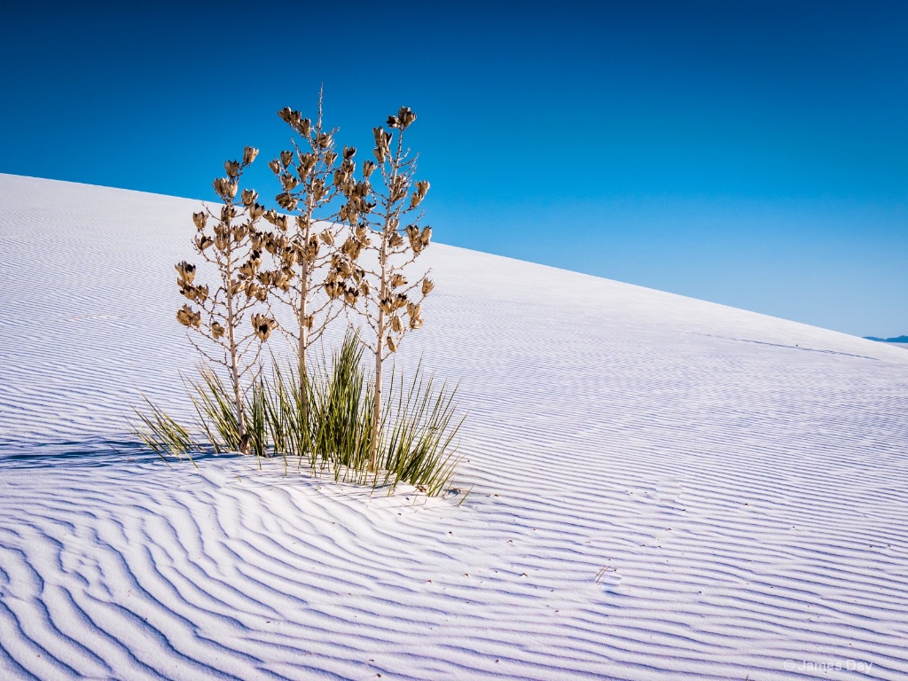 White Sands