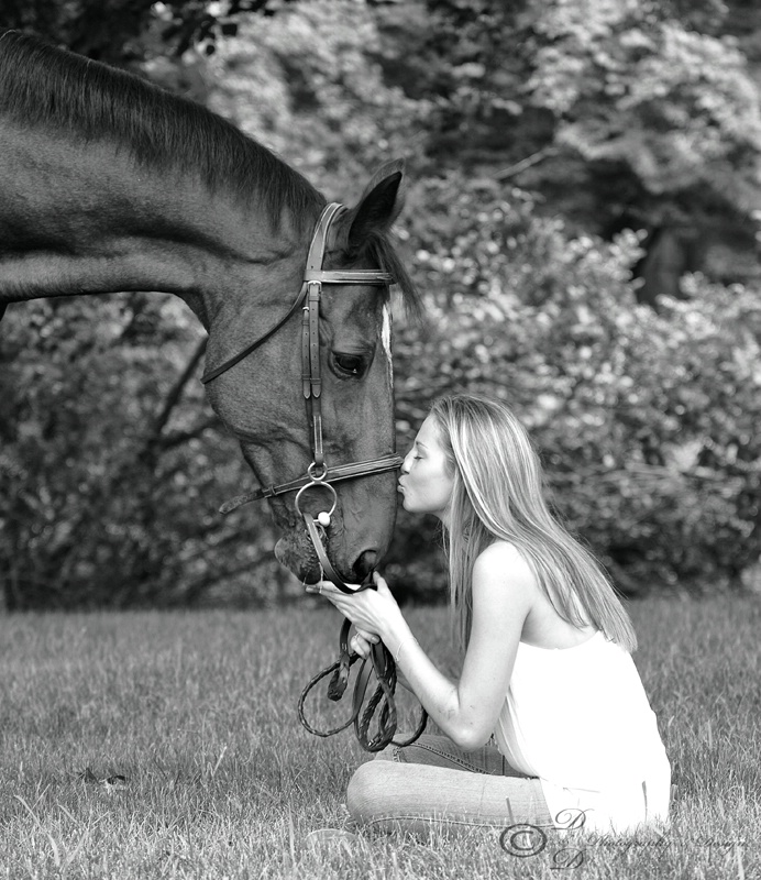 Horse & rider shoot